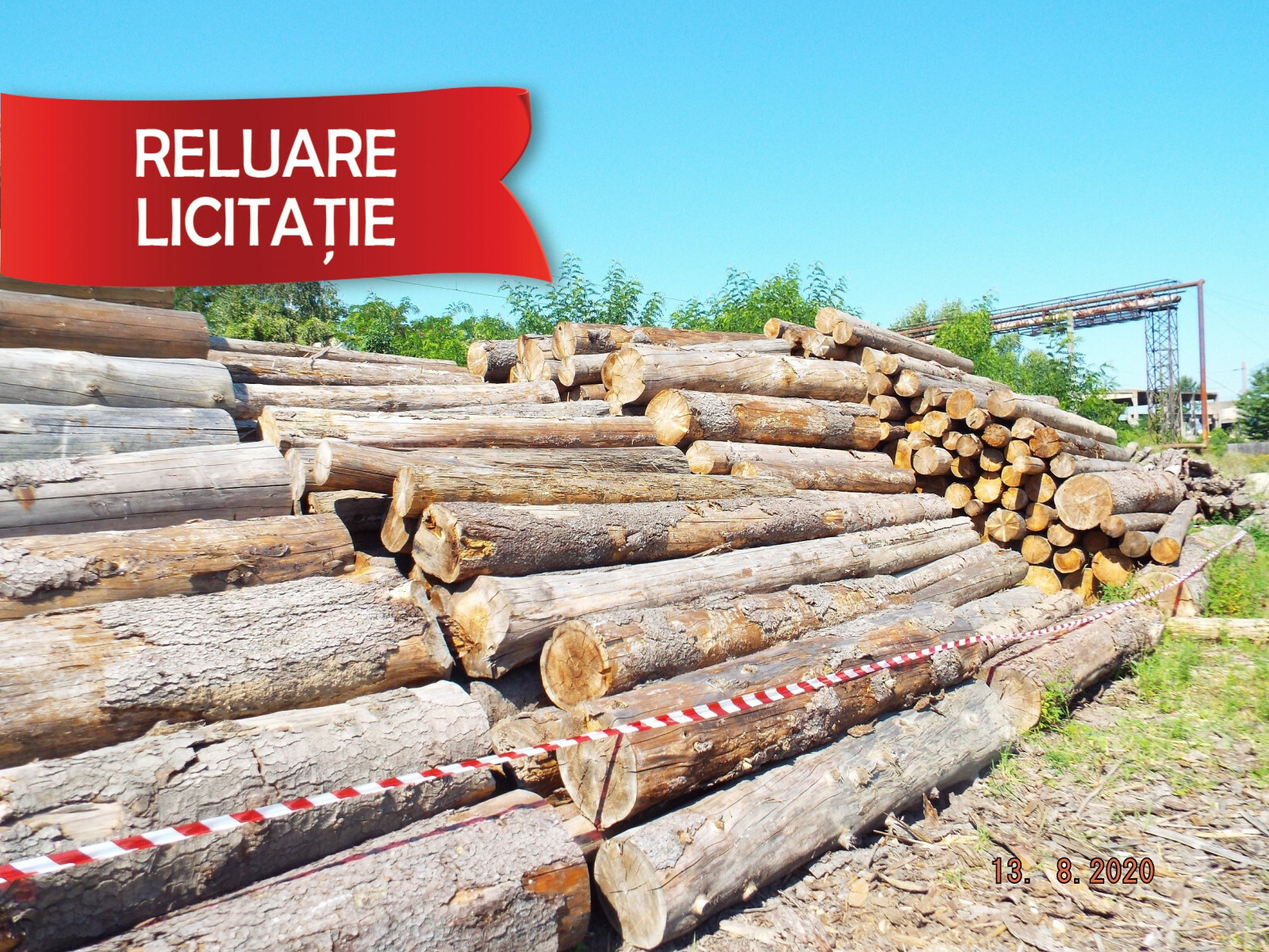 Material Lemnos: Lot 1 - 228,87 m3 lemn rotund esență rășinoasă, specia molid